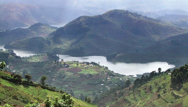 Virunga Gebirge, Uganda