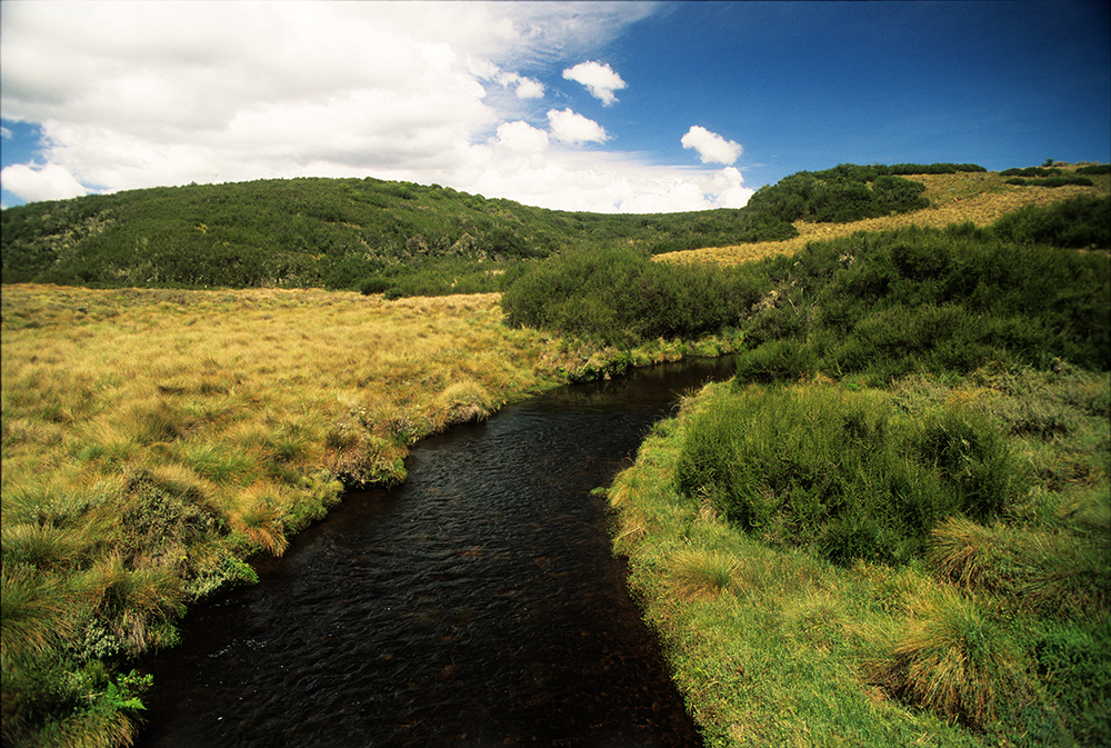 Landschaft, Kenia