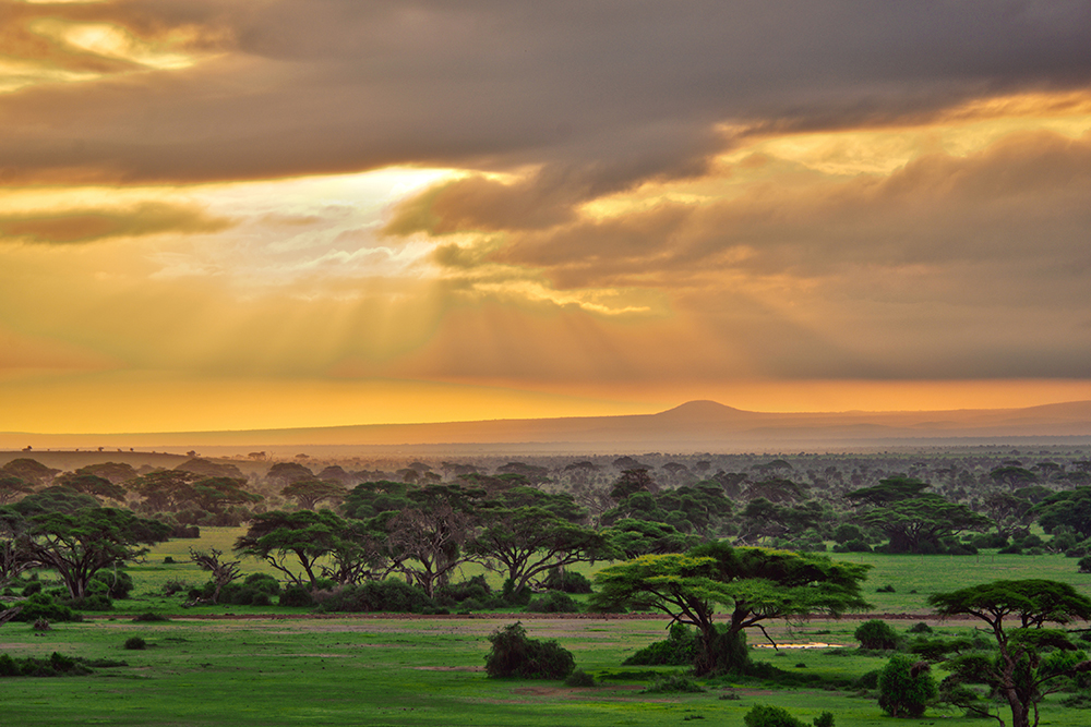 Landschaft, grüne Steppe