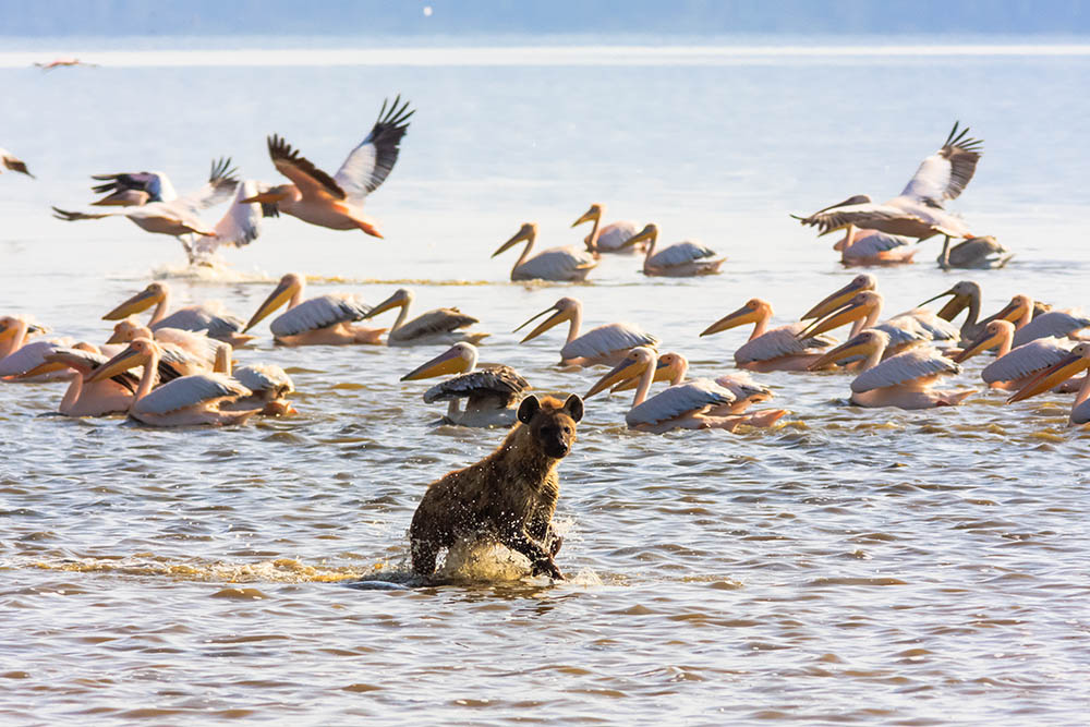 Bögel, Strand, Wasser