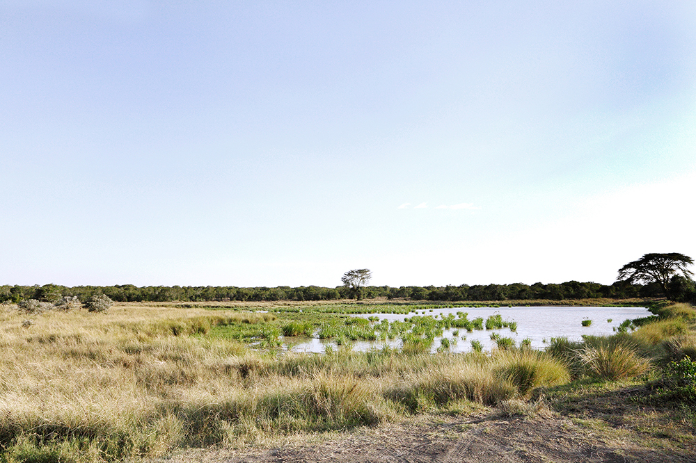 Landschaft, Fluss