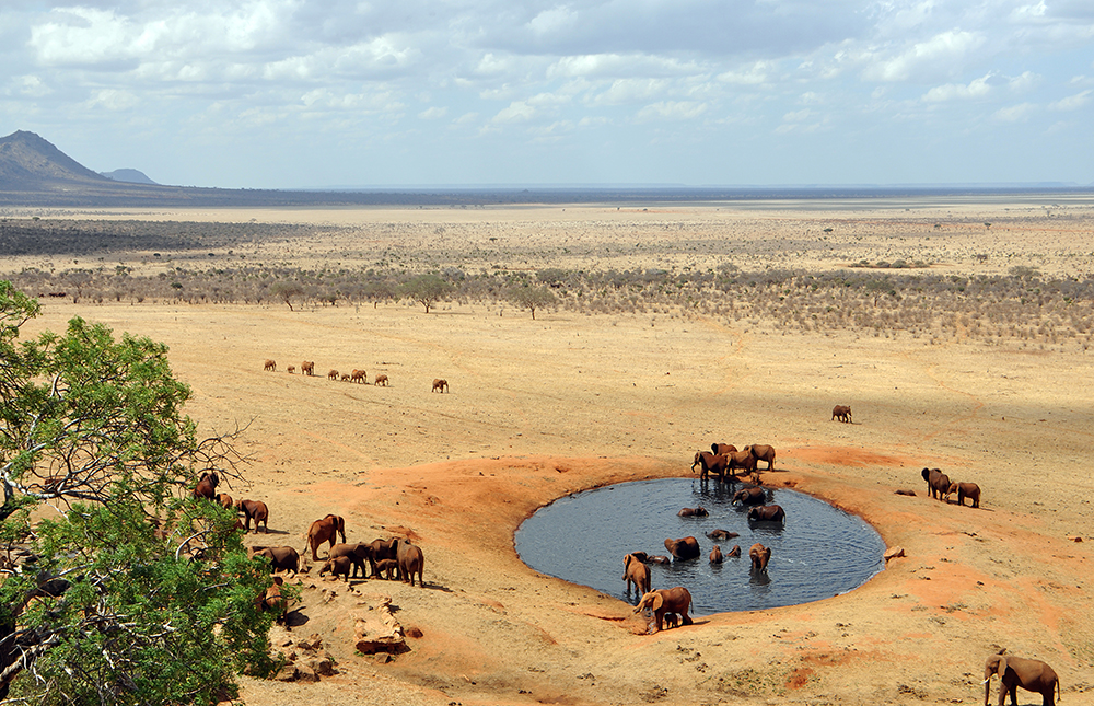 Landschaft, Tsavo River