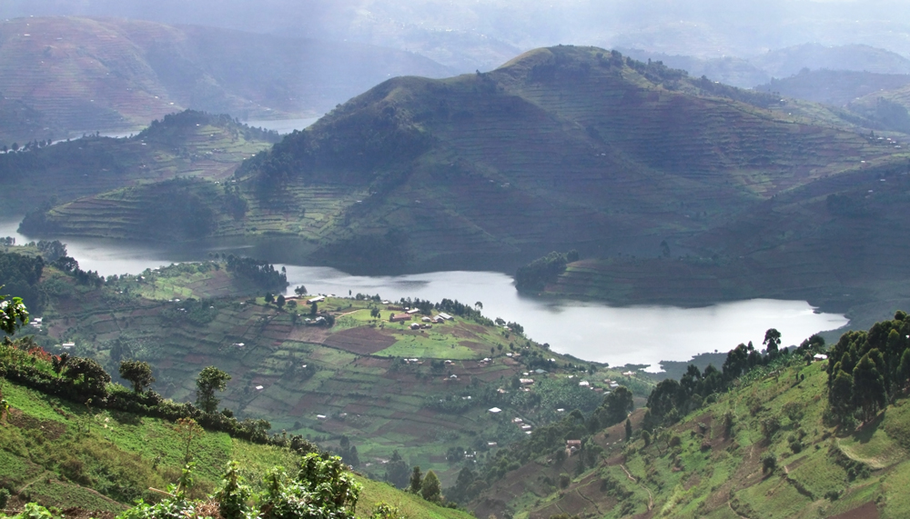 Virunga Gebirge, Uganda