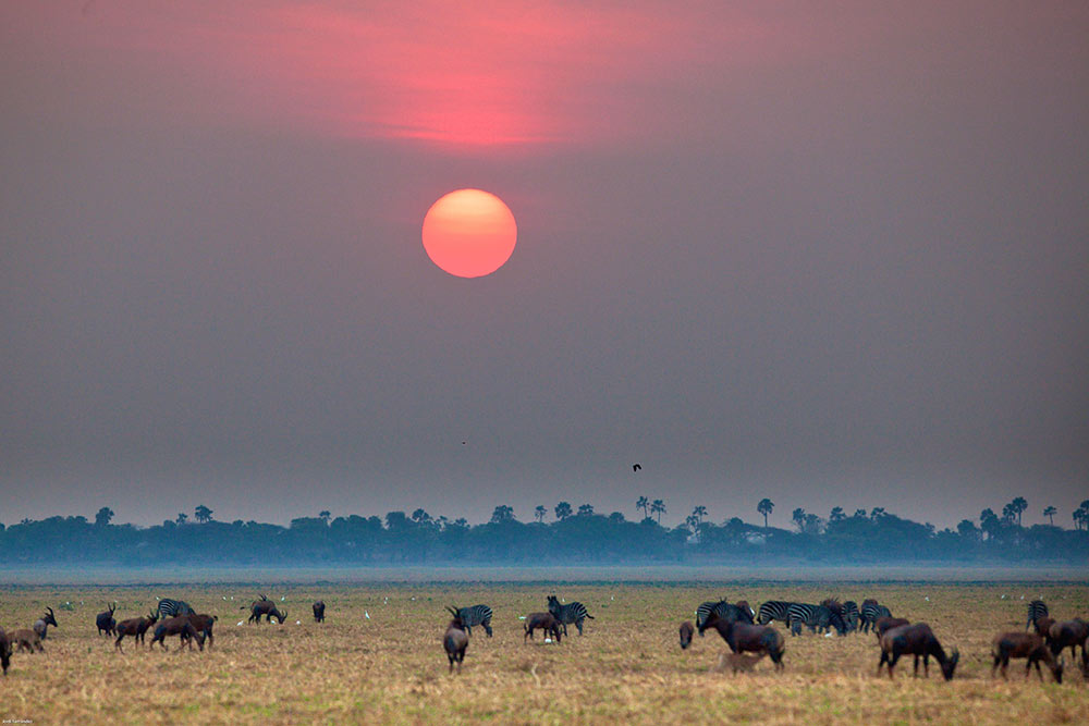 Sonne, Tiere, Landschaft