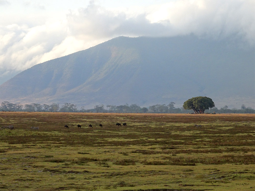Landschaft, Berg, Wolken