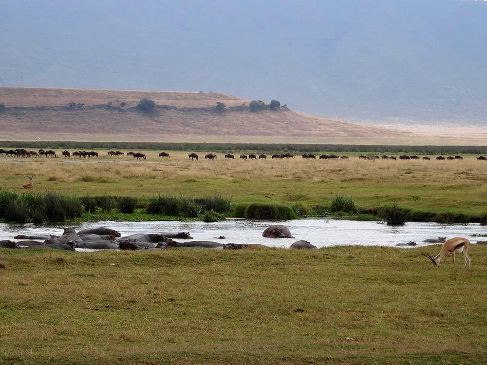 Fluss, Landschaft