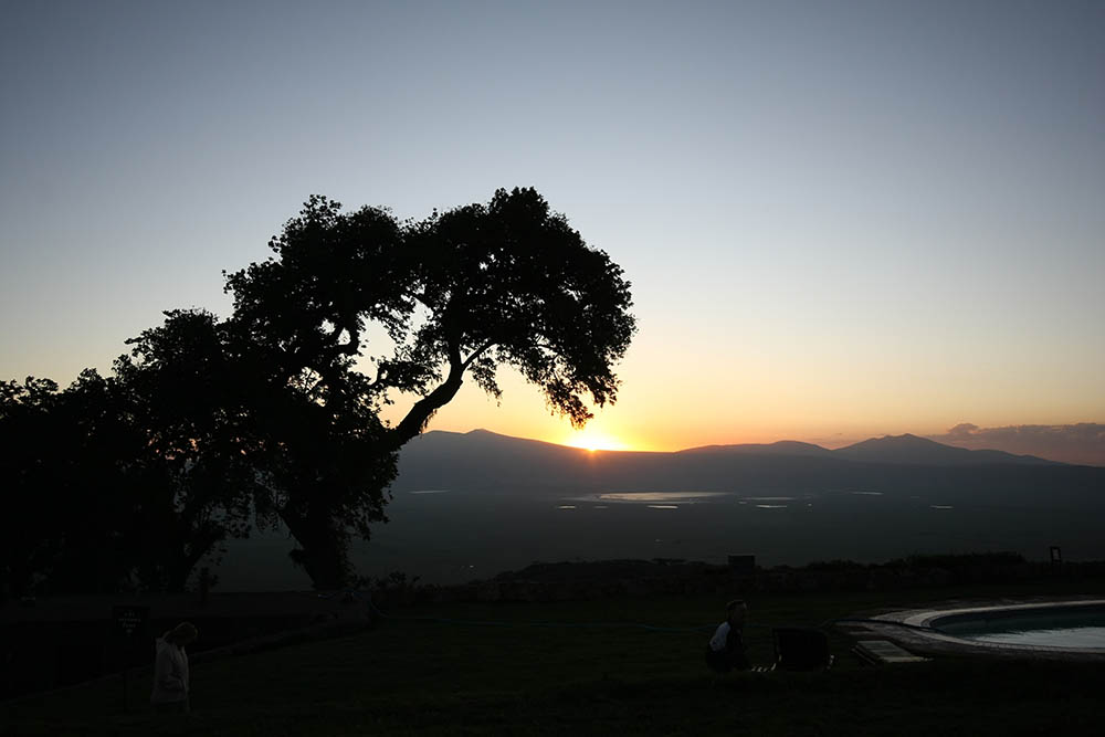 Landschaft, Sonnenuntergang, Baum