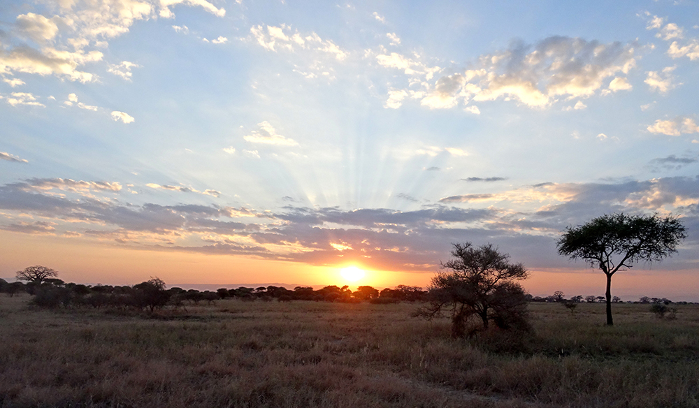 Sonnenuntergang, Landschaft, Wildnis
