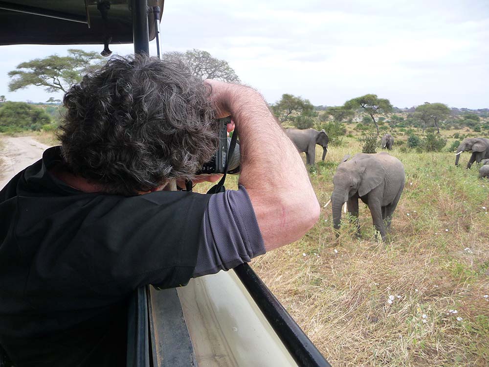 Mann fotografiert Elefanten
