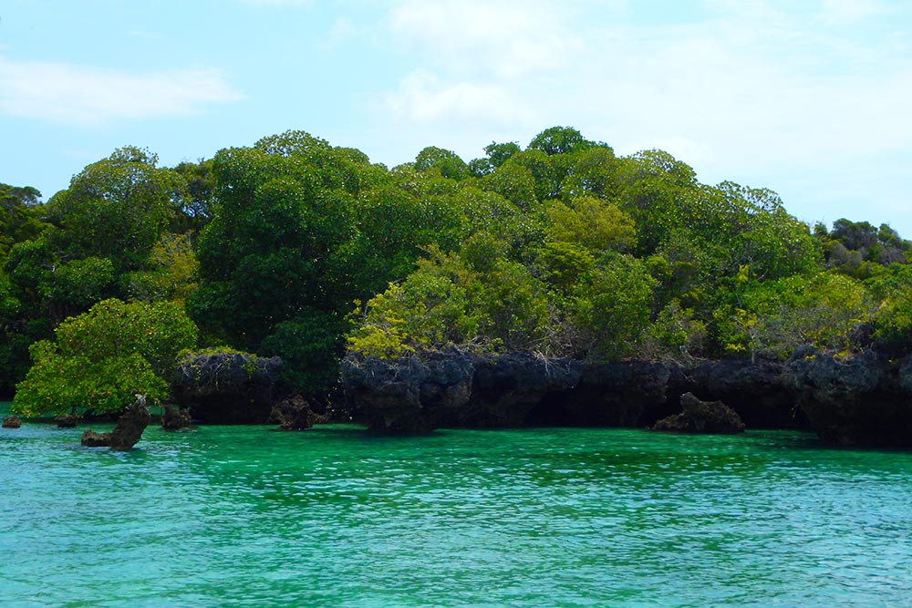 grüne Insel, türkises Meer