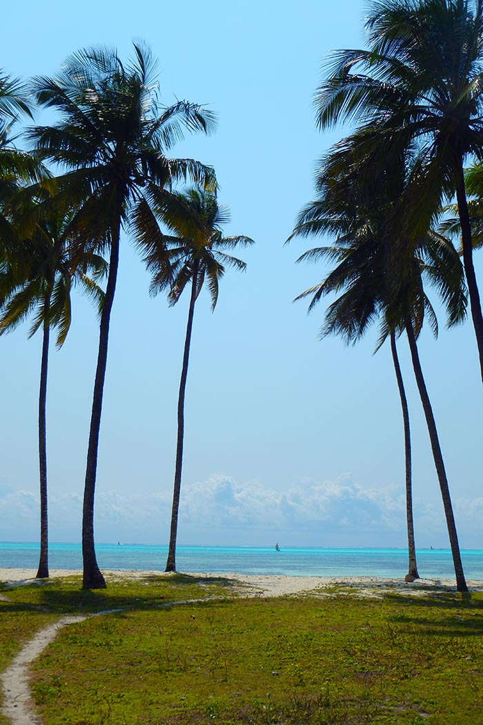 Palmen, Meer, Himmel