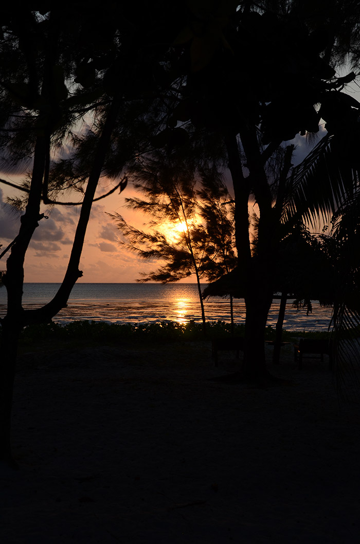 Sonnenuntergang, Palmen
