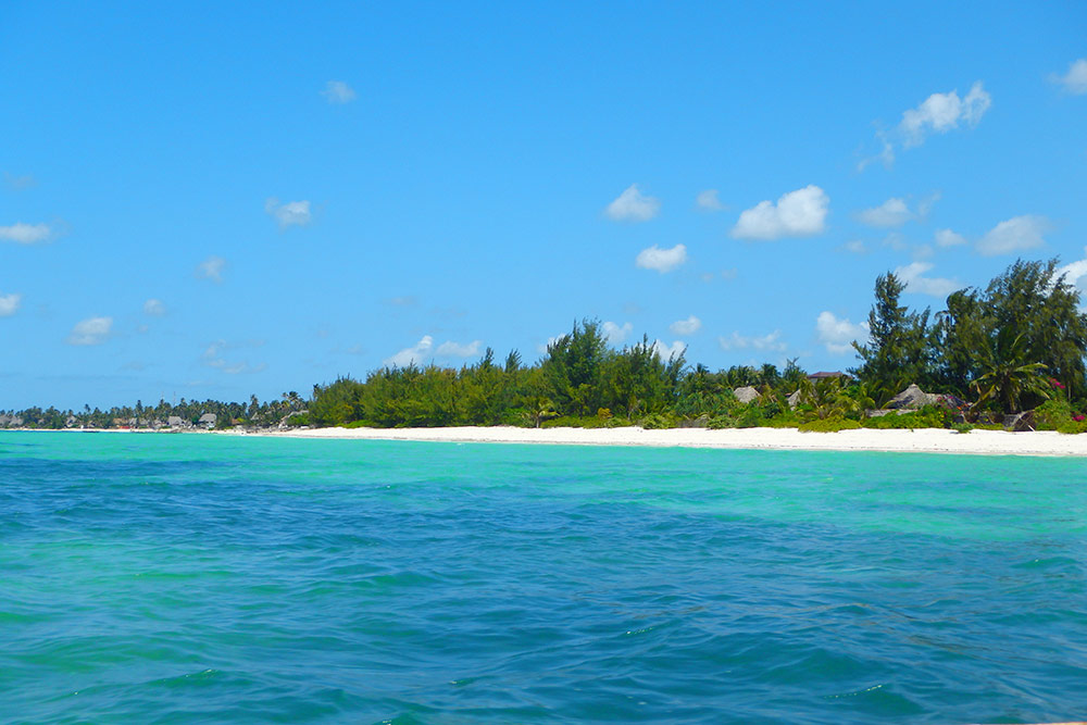 Palmen, Meer, Strand